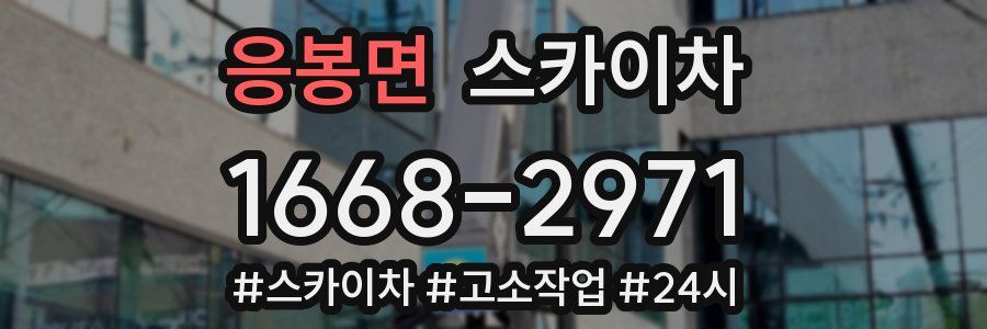 응봉면 스카이차