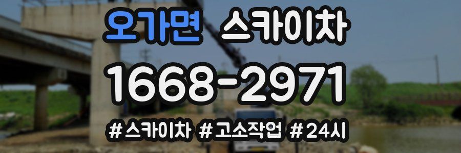 오가면 스카이차