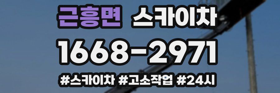 근흥면 스카이차