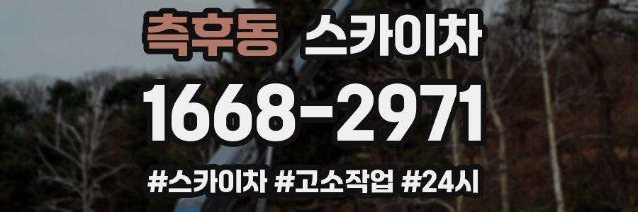 측후동 스카이차