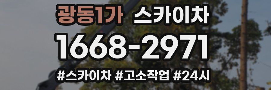 광동1가 스카이차