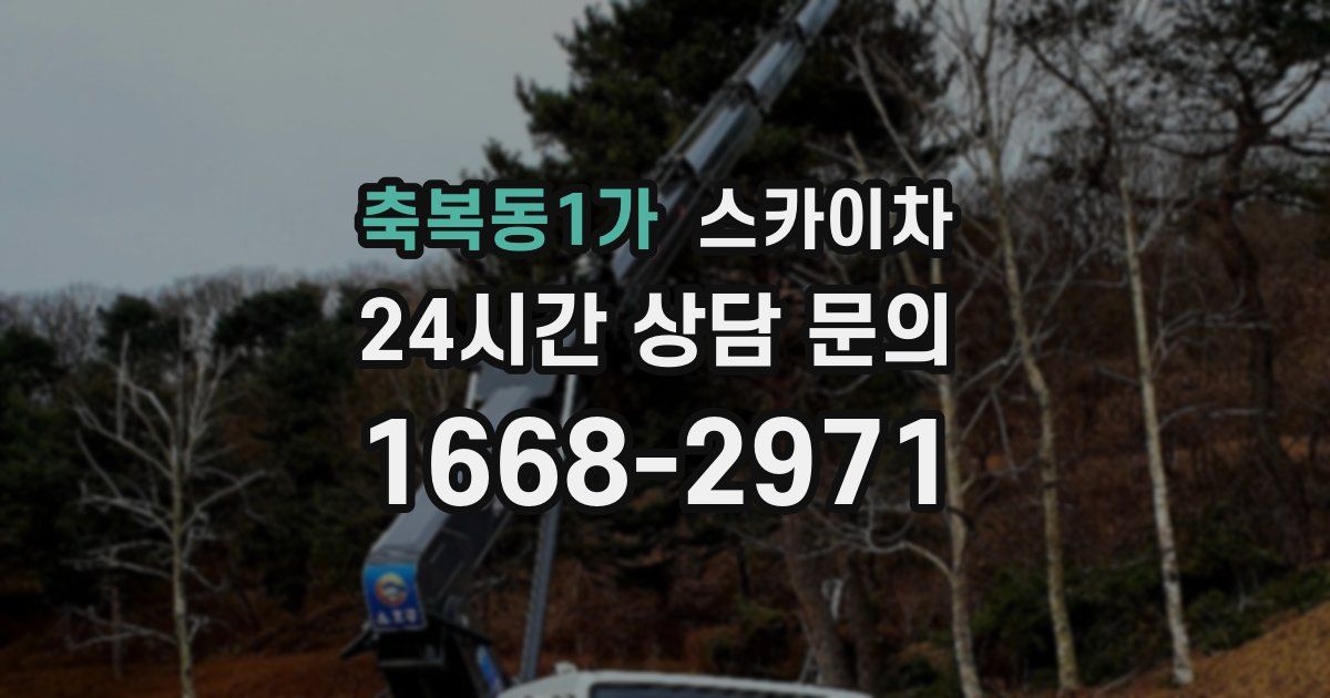 축복동1가 스카이차