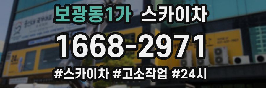 보광동1가 스카이차