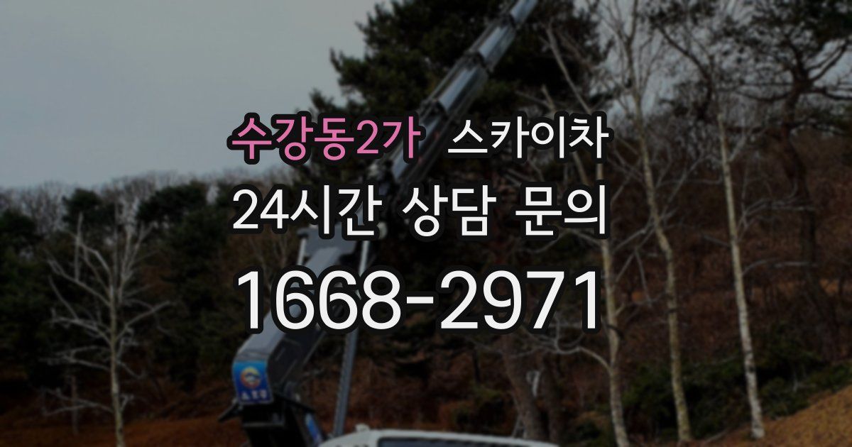 수강동2가 스카이차