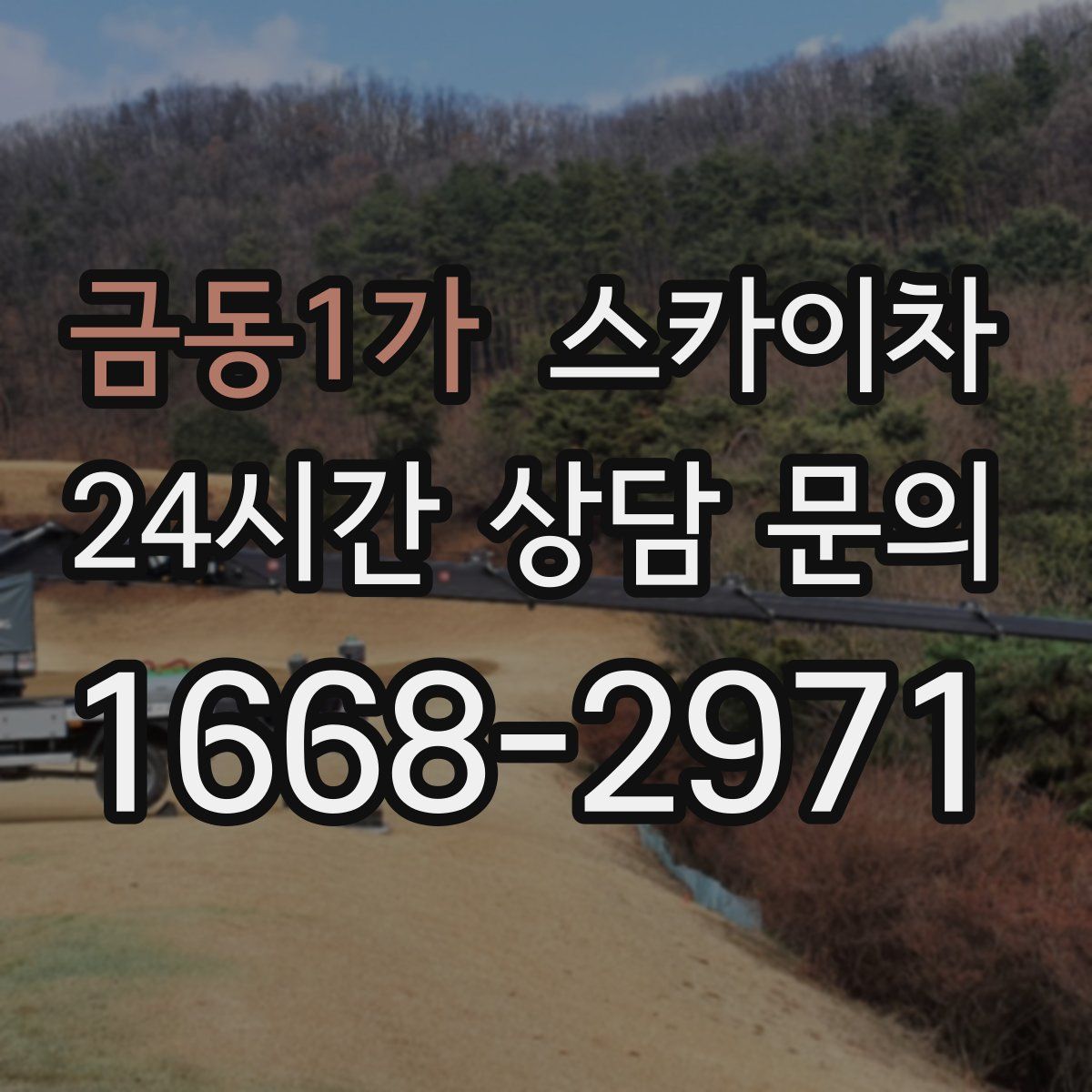 금동1가 스카이차