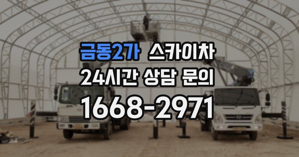 금동2가 스카이차