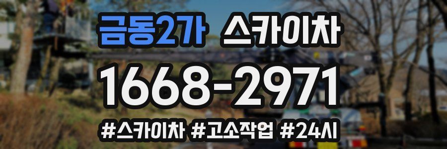 금동2가 스카이차
