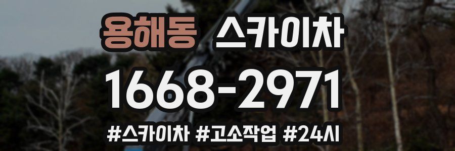 용해동 스카이차