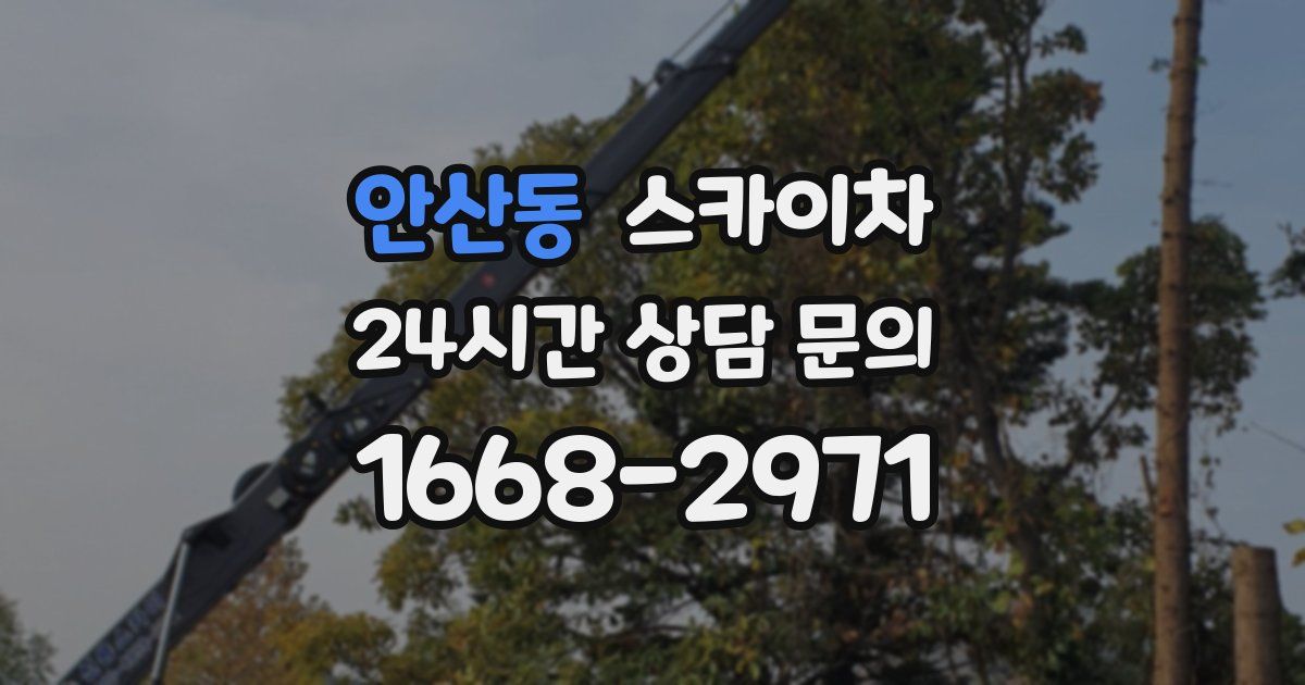 안산동 스카이차