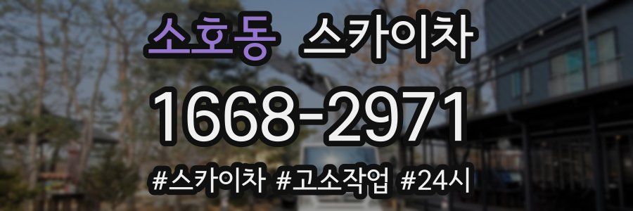 소호동 스카이차