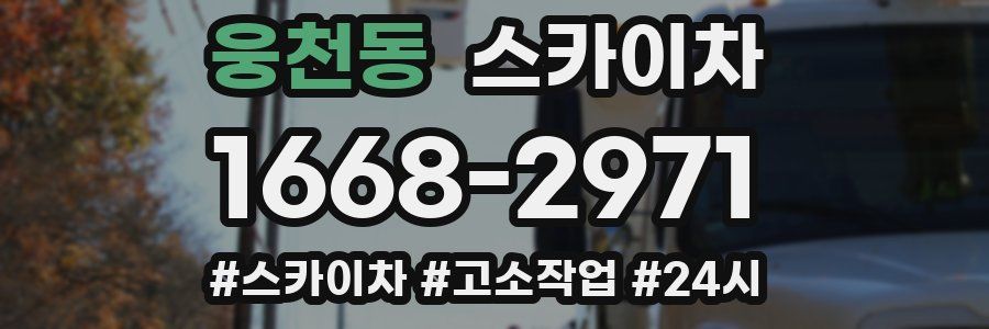 웅천동 스카이차