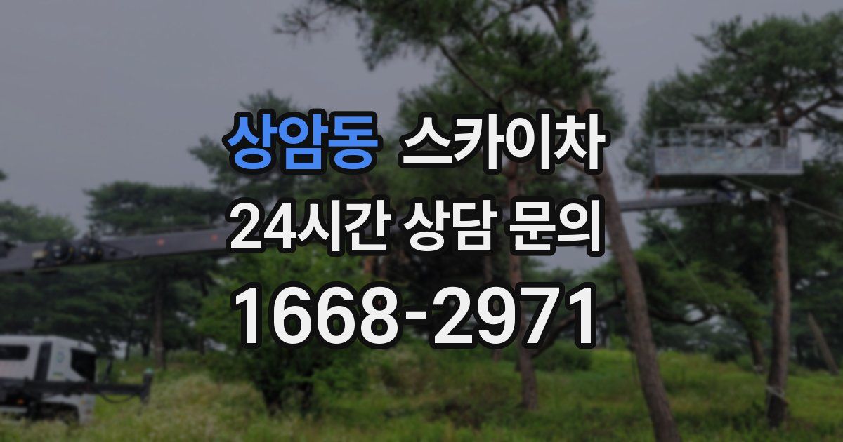 상암동 스카이차