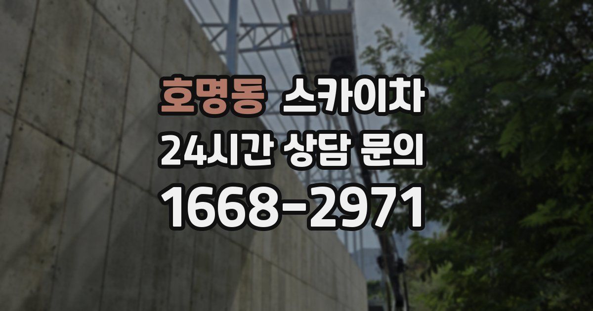 호명동 스카이차