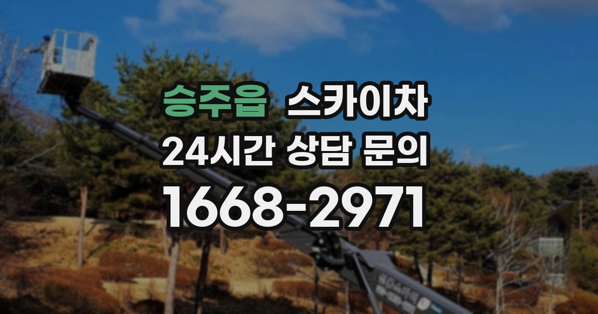 승주읍 스카이차