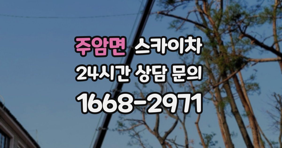 주암면 스카이차