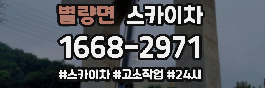 별량면 스카이차