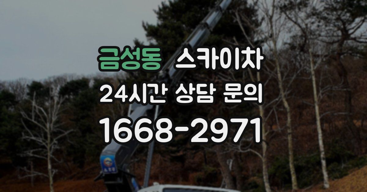 금성동 스카이차