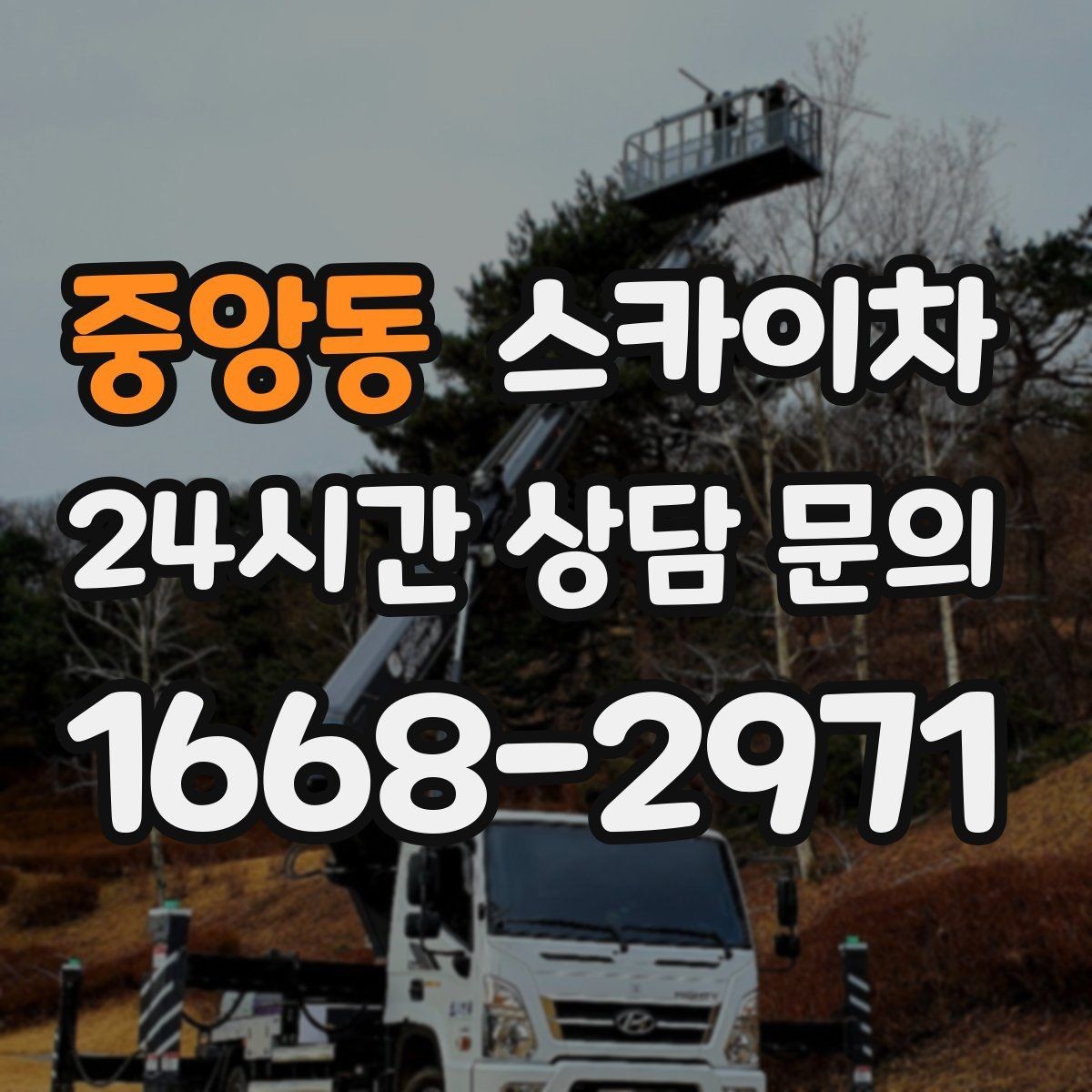 중앙동 스카이차 간판 조명 교체로 야간 시인성 높이기