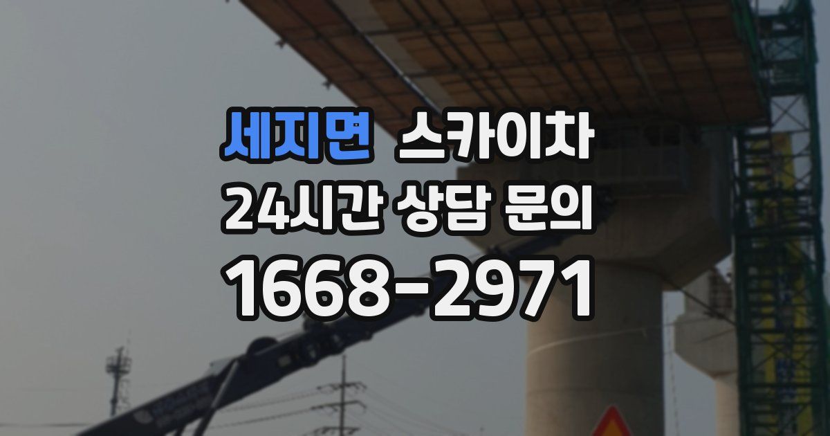 세지면 스카이차