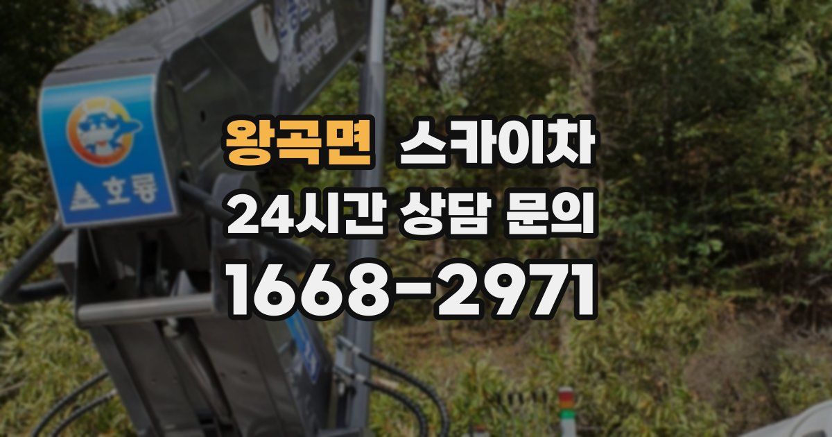 왕곡면 스카이차