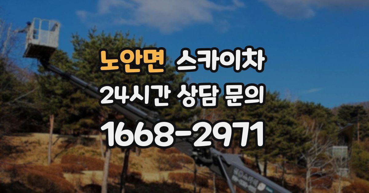 노안면 스카이차