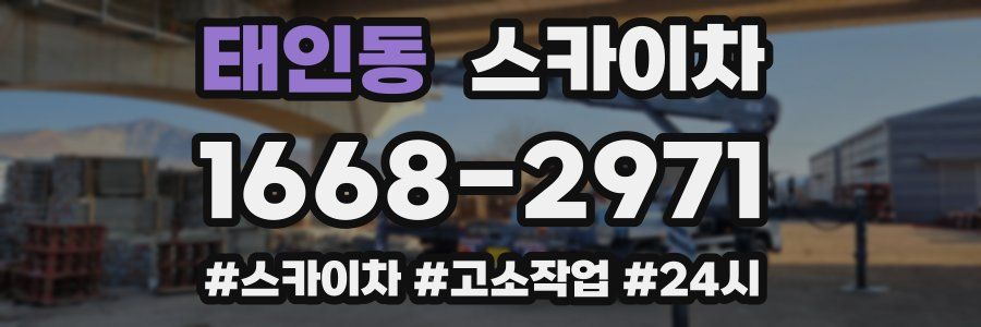 태인동 스카이차