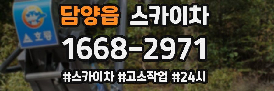 담양읍 스카이차