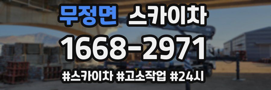 무정면 스카이차