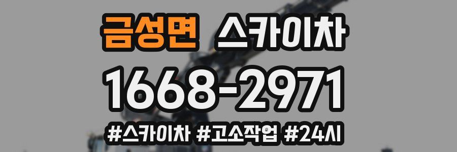 금성면 스카이차