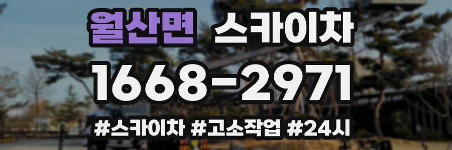 월산면 스카이차