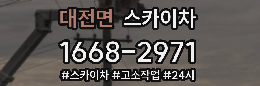 대전면 스카이차