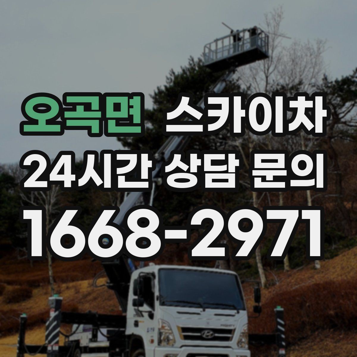 오곡면 스카이차 외벽 라인 조명 수리도 가능합니다
