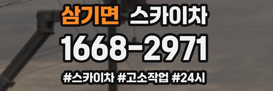 삼기면 스카이차