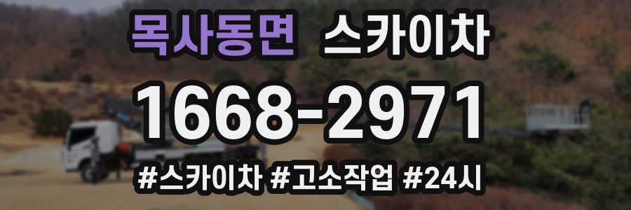 목사동면 스카이차