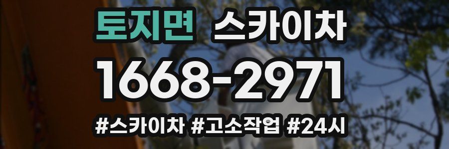 토지면 스카이차