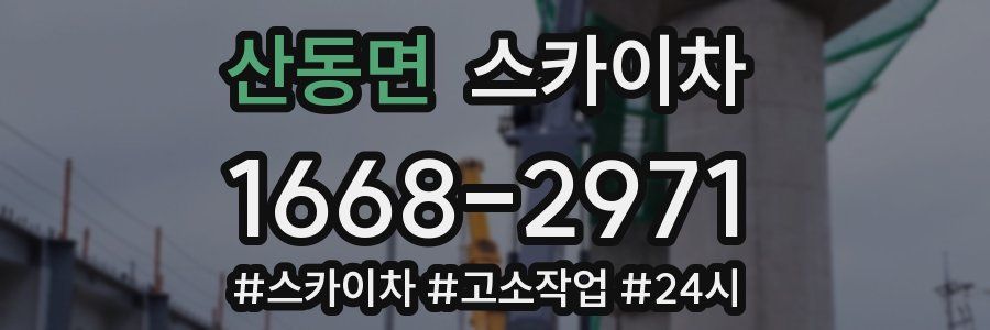산동면 스카이차