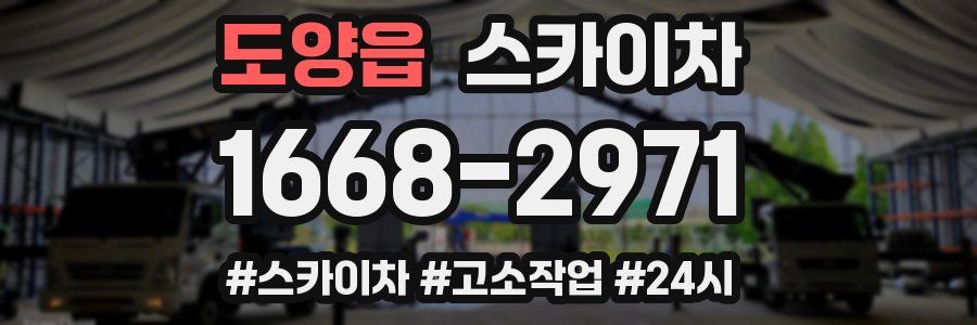 도양읍 스카이차