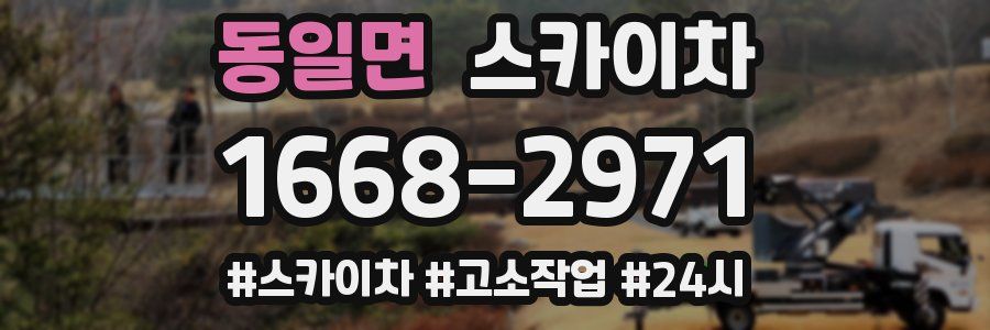 동일면 스카이차