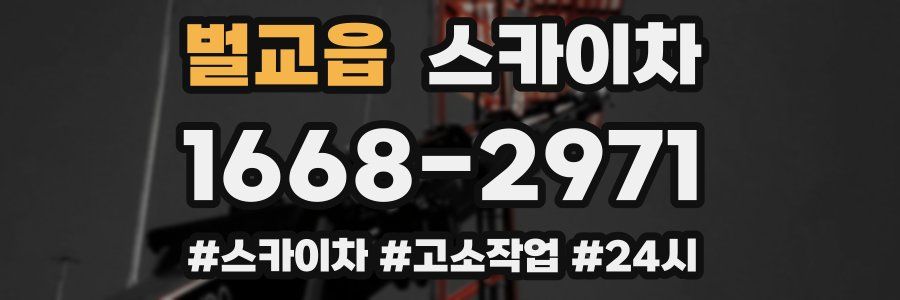 벌교읍 스카이차