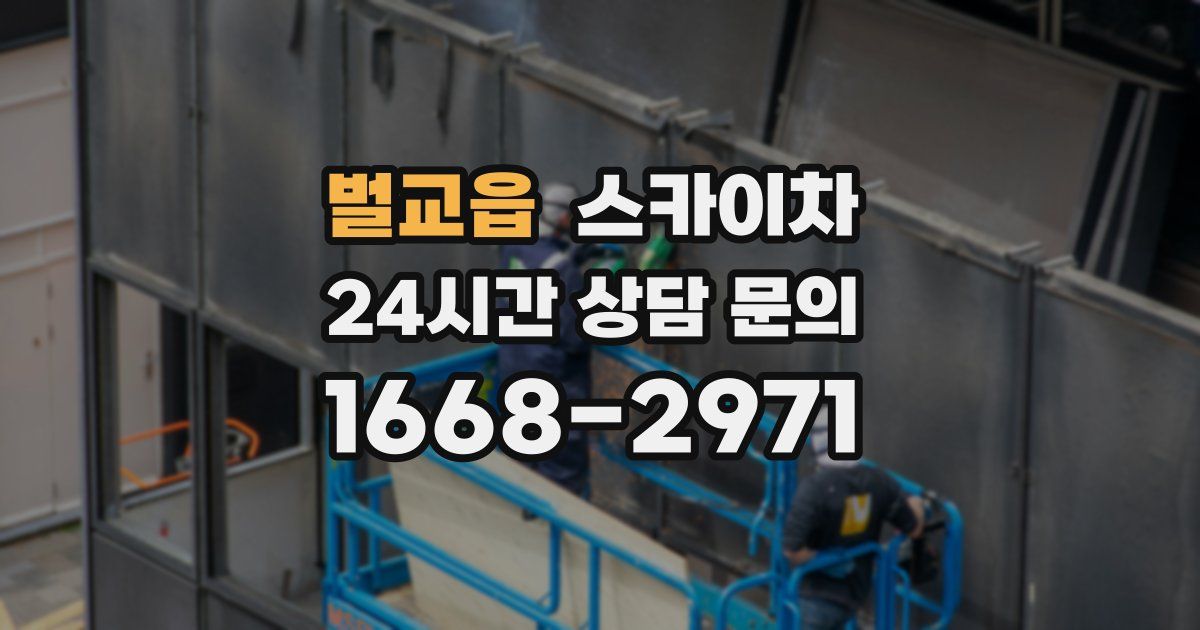 벌교읍 스카이차