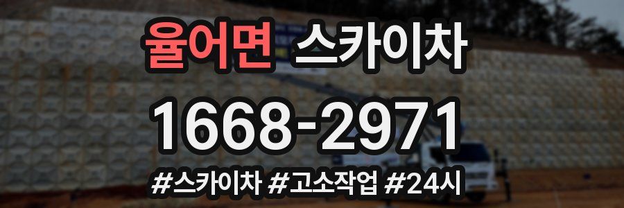 율어면 스카이차