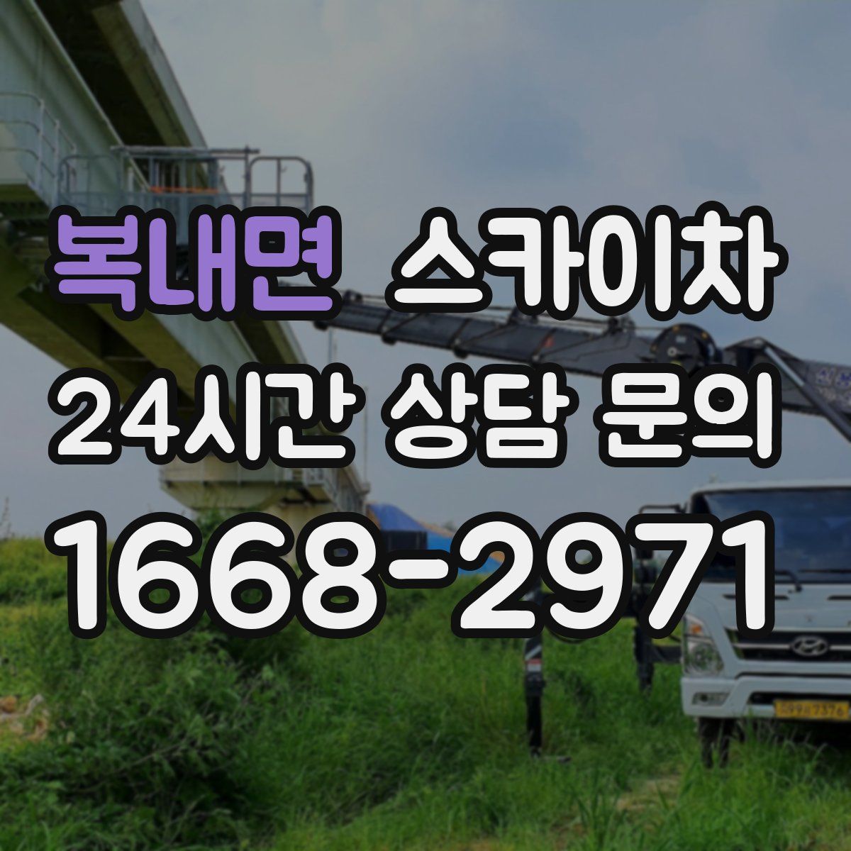 복내면 스카이차