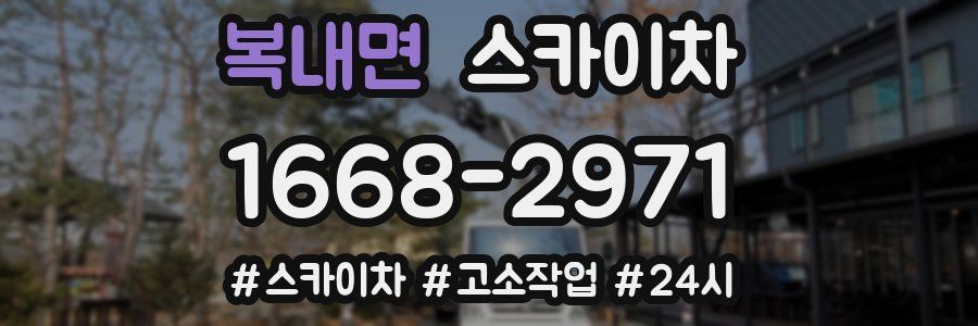 복내면 스카이차