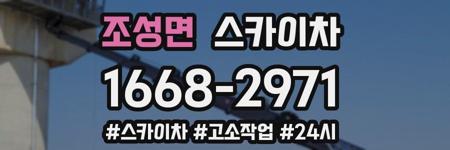 조성면 스카이차