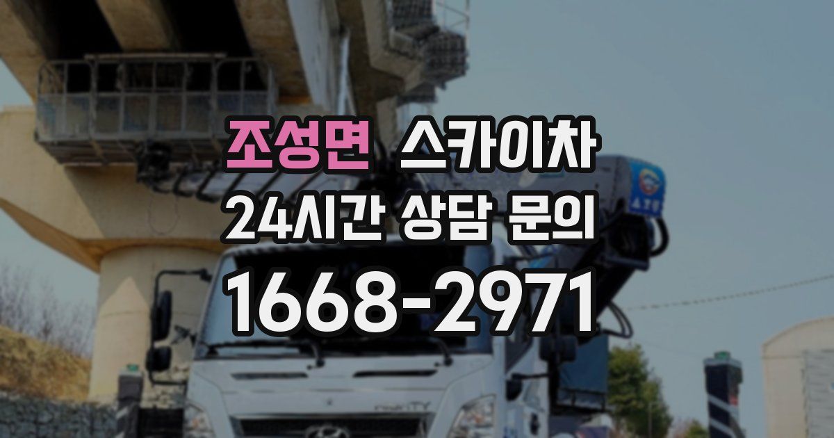 조성면 스카이차