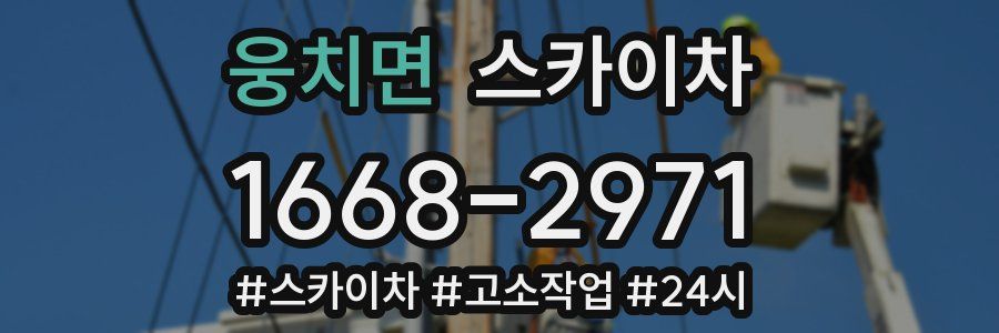 웅치면 스카이차