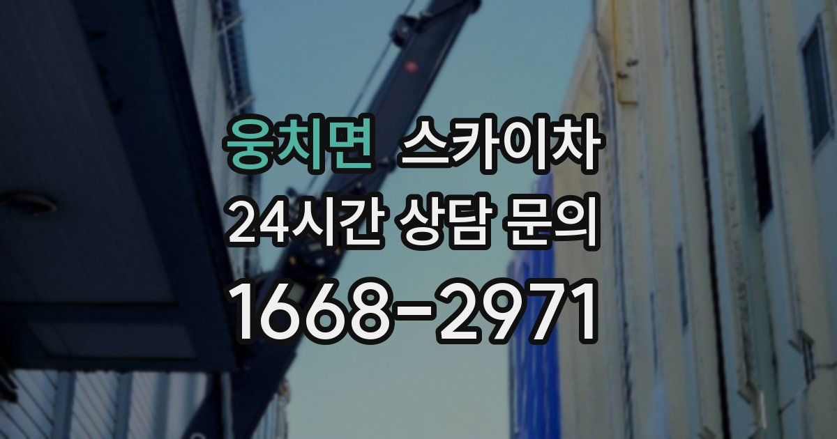 웅치면 스카이차