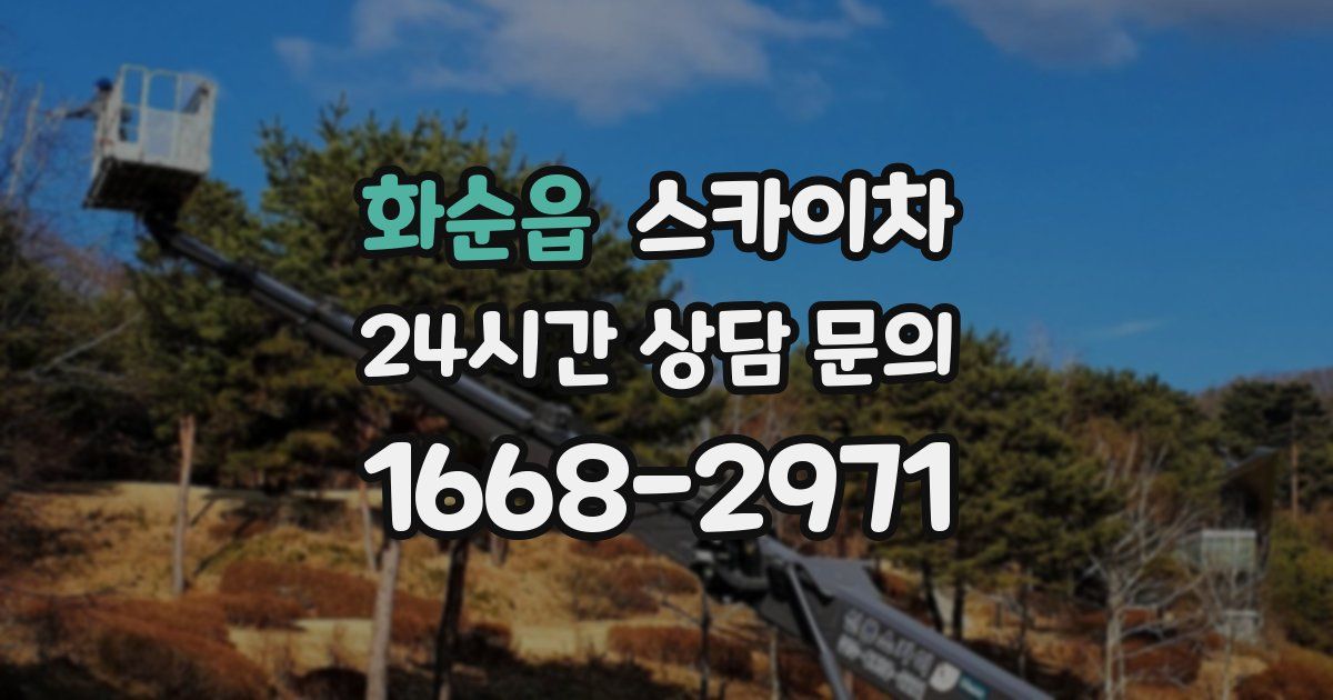 화순읍 스카이차