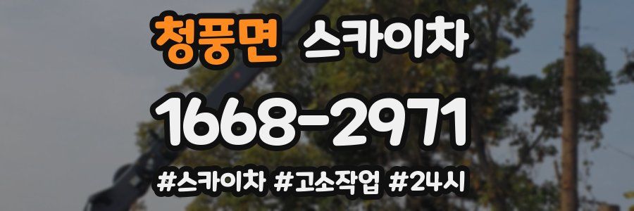 청풍면 스카이차