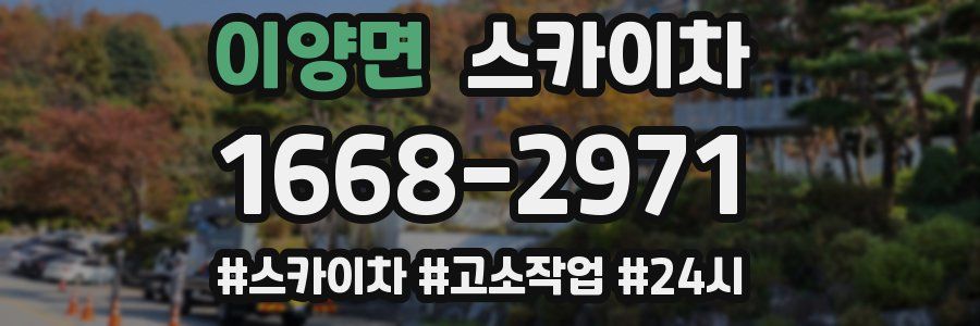 이양면 스카이차